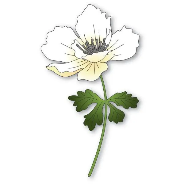 Graceful Anemone - Die 1