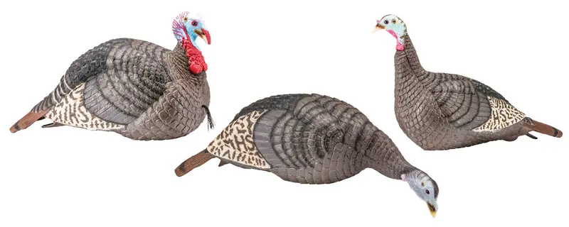 Hs Strut Lite Flock Wild 1