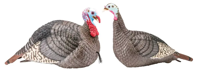 Hs Strut Lite Jake And Hen Combo 1