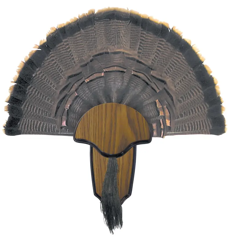 Hs Strut Turkey Tail & Beard Mounting Kit 1