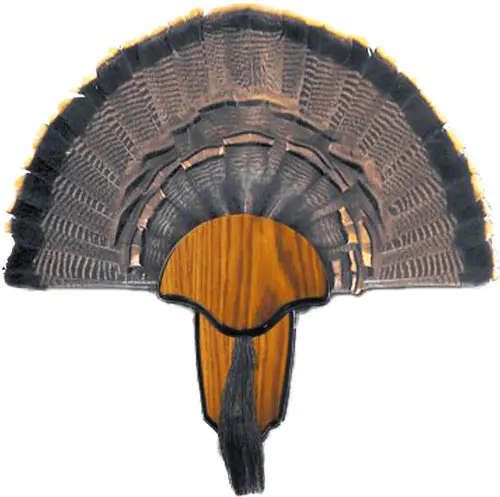 Hs Strut Turkey Tail & Beard Mounting Kit 1