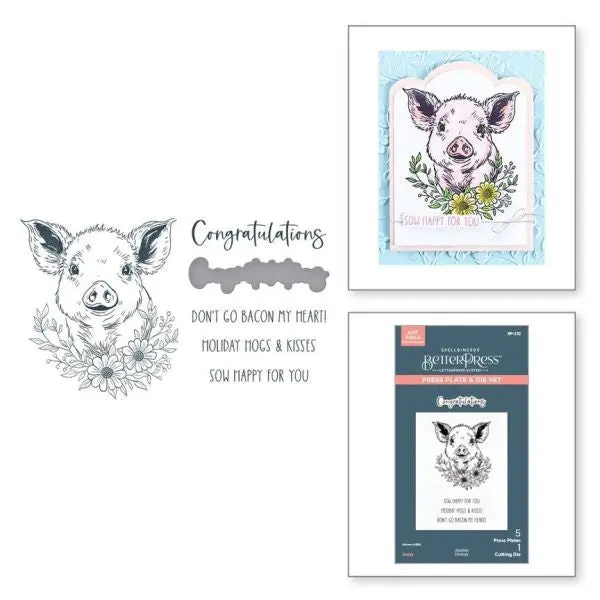 Justine's Farm Collection - Daisy Betterpress Plate & Die Set 1