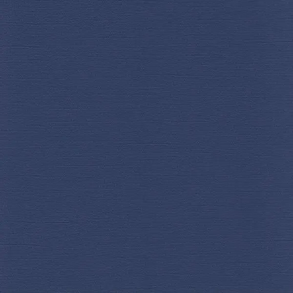 Mono Cardstock - Admiral 1