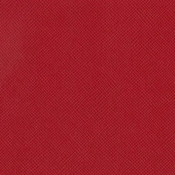 Mono Cardstock - Kisses 1
