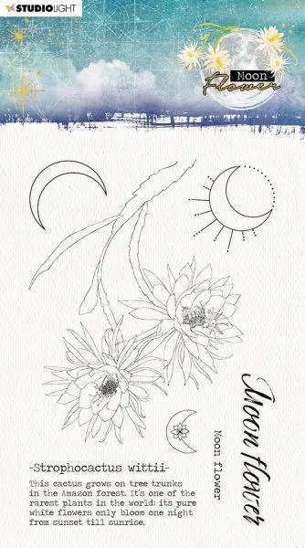 Moon Flower Collection - Clear Stamps - Strophocactus Wittii 1