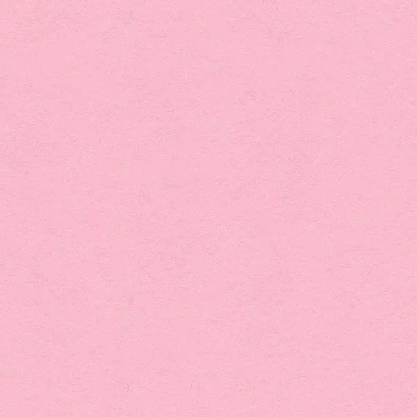 My Colors Heavyweight Cardstock - Ballerina Pink 1