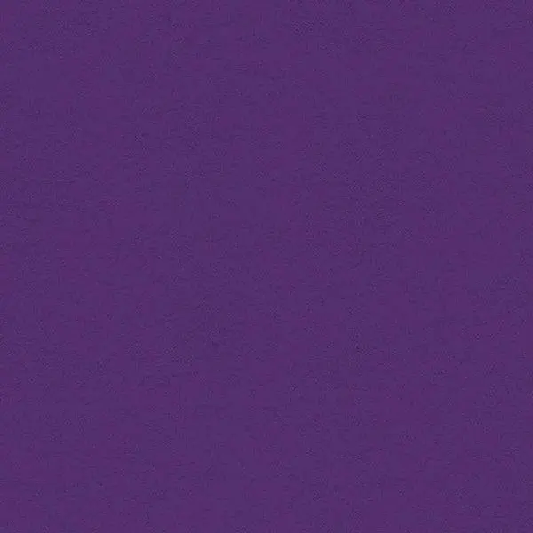 My Colors Heavyweight Cardstock - Cyber Grape 1