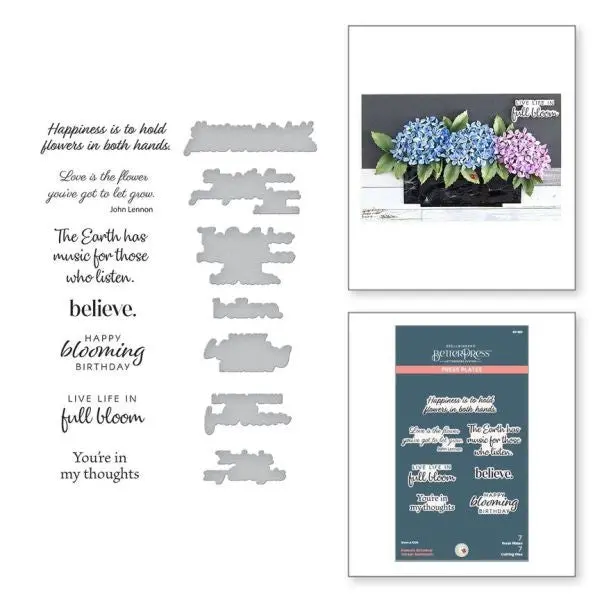 Nature's Botanical Garden Collection - Nature's Botanical Garden Sentiments Press Plate & Die Set 1