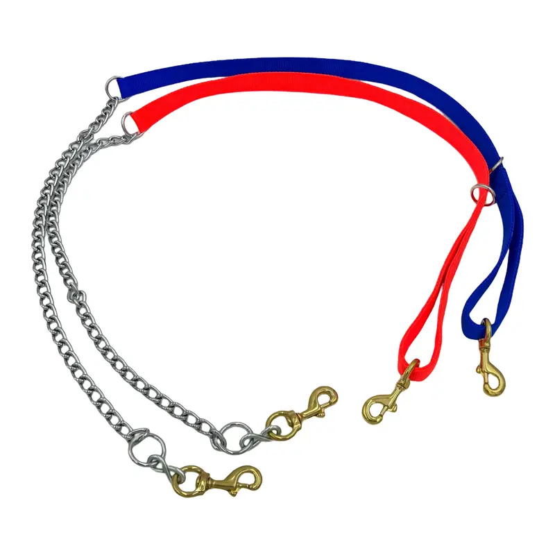 Nylon With 2' Chain Lead For 1 Or 2 Dogs 1