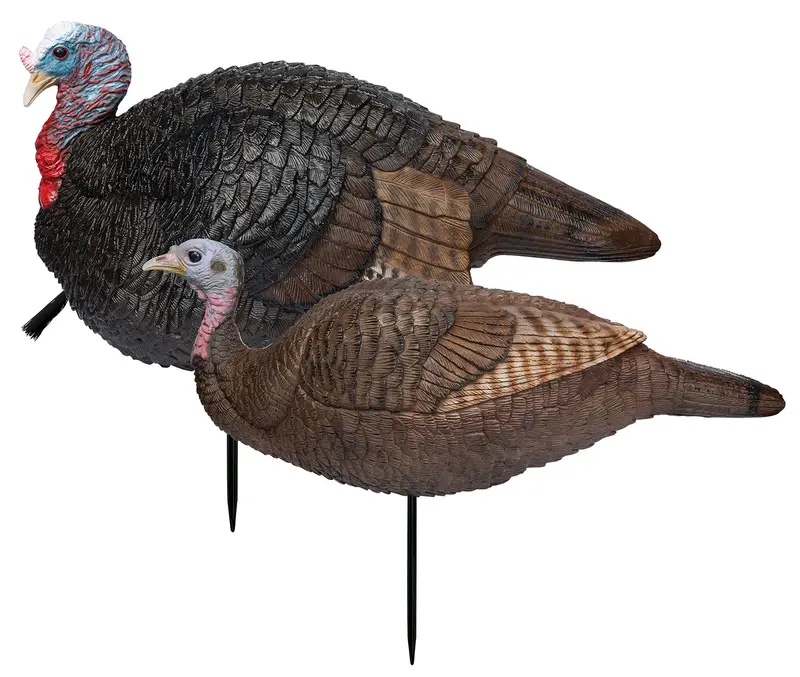 Primos Lil' Gobblestopper Jake & Hen Combo Turkey Species Multi Color 1