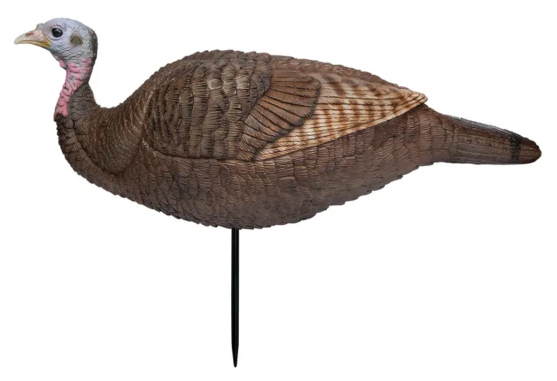 Primos Lil Gobstopper Hen Turkey Species Multi Color 1