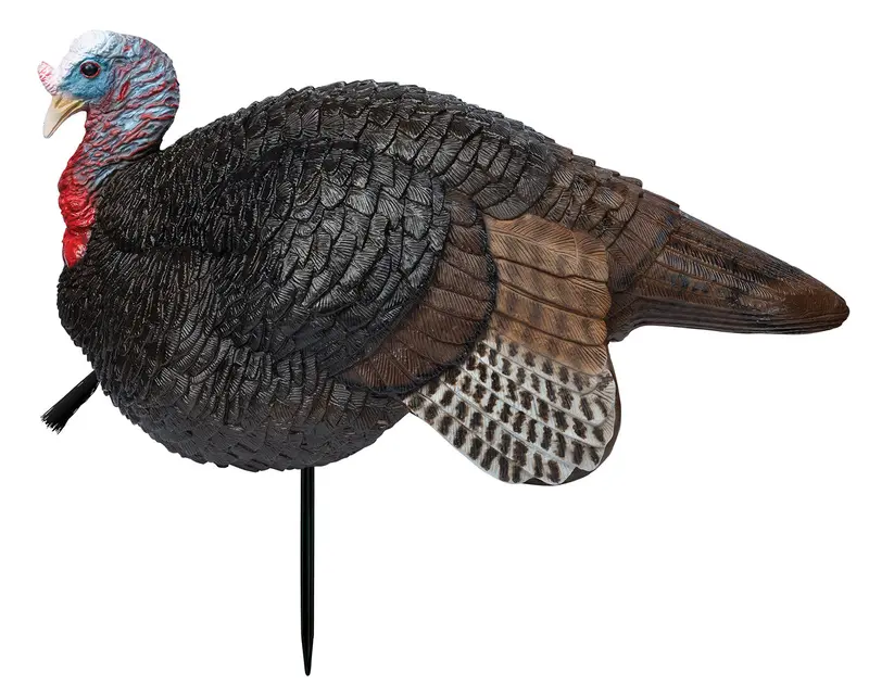Primos Lil' Gobstopper Jake Turkey Species Multi Color 1