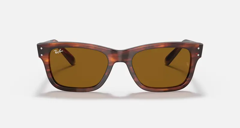 Ray-Ban Mr. Burbank Unisex Lifestyle Sunglasses 3