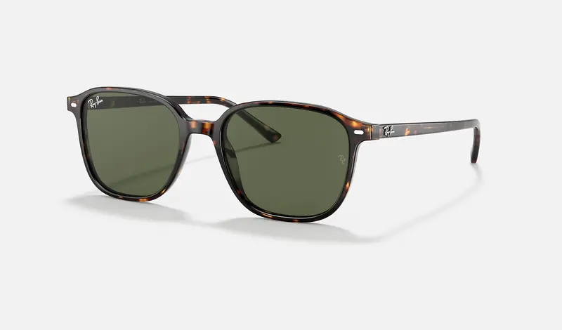 Ray-Ban Rb2193f Leonard Low Bridge Fit Unisex Lifestyle Sunglasses 1
