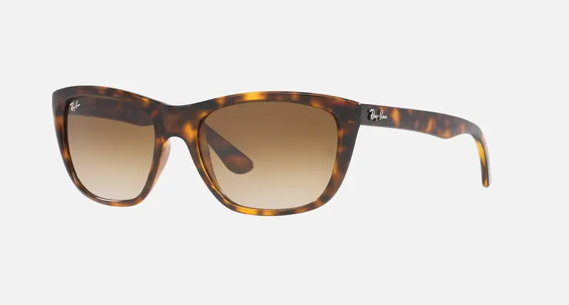 Ray-Ban Rb4154 Unisex Lifestyle Square Sunglasses 1