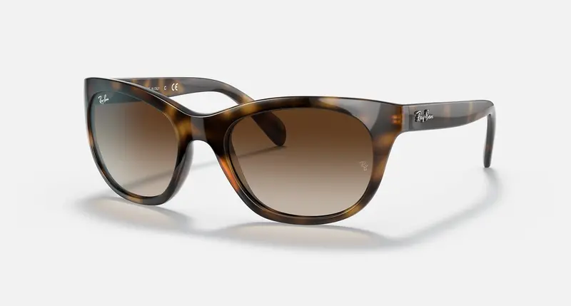 Ray-Ban Rb4216 Unisex Lifestyle Square Sunglasses 1