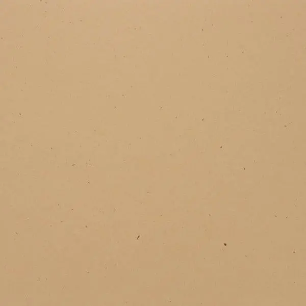 Speckle Cardstock - Sand Dollar 1