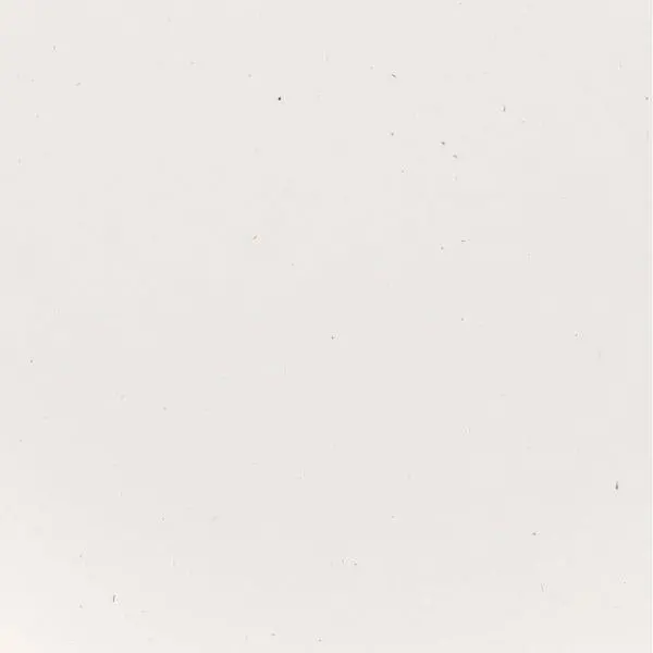 Speckle Cardstock - White Dunes 1