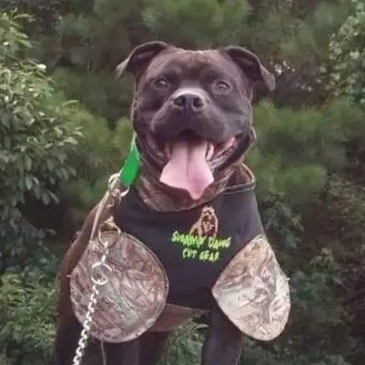 Swamp Dawg Super Suit Catch Vest With Leg Flaps 3
