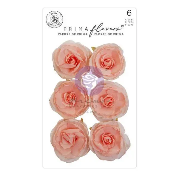 The Plant Department - Flowers - Peachy Keen 1