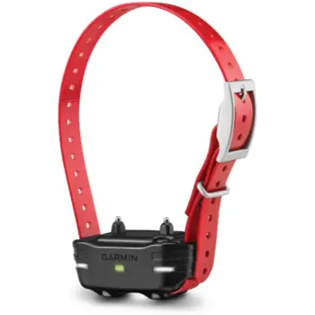 Used Garmin Pt 10 Collar 1