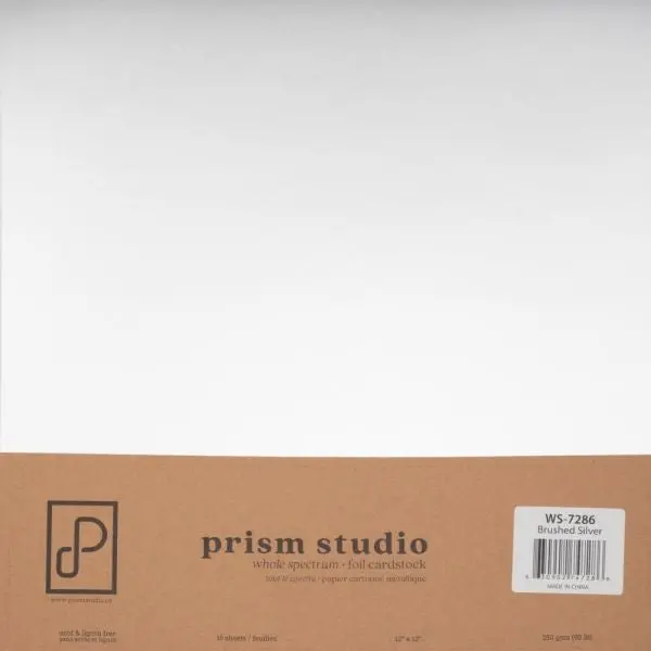 Whole Spectrum Foil Cardstock - Brushed Silver 1