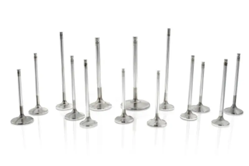 Ferrea 6000 Series Competition Exhaust Valves For Chrysler Big Block – 1.6" Head, 5/16" Stem, Set Of 8 1