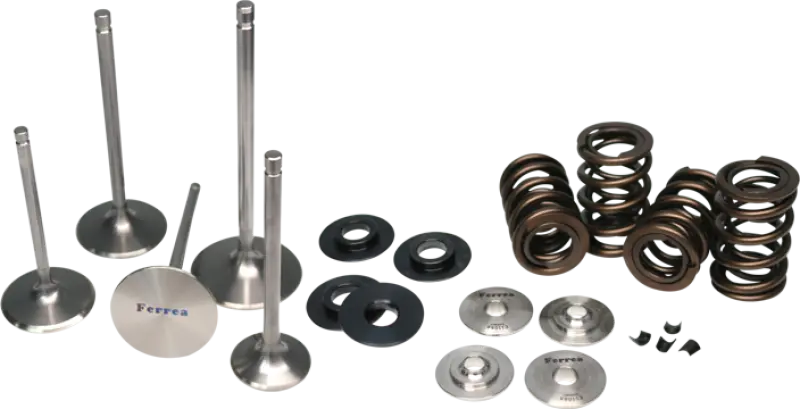 Ferrea Honda S2000 Dual Spring Kit 1