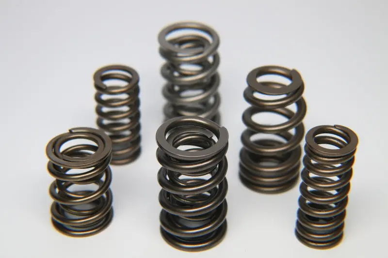 Ferrea Outer Valve Spring With Damper For Gm Small-Block V8 Engines 1
